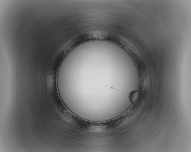 X0000116380595200912021521