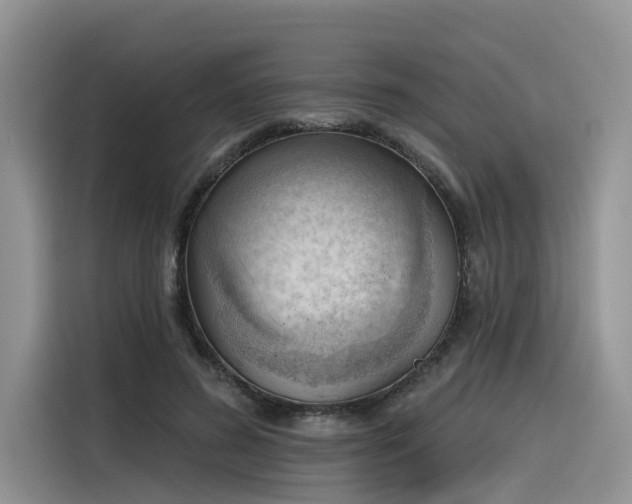 X0000116380596200912021521