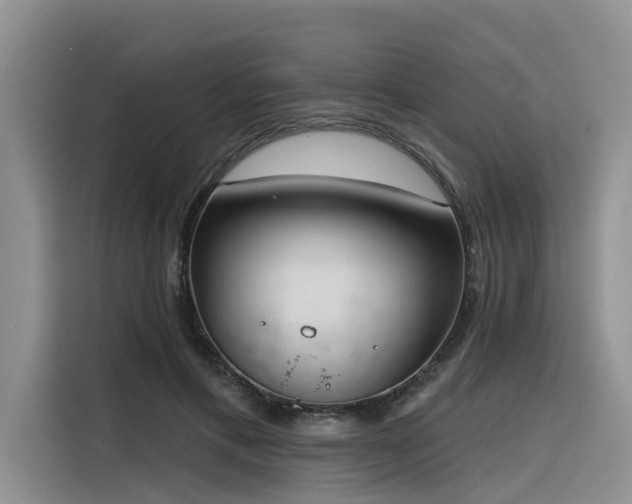 X0000116380597200912021521