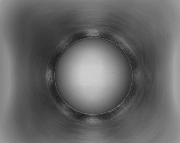 X0000116380598200912021521