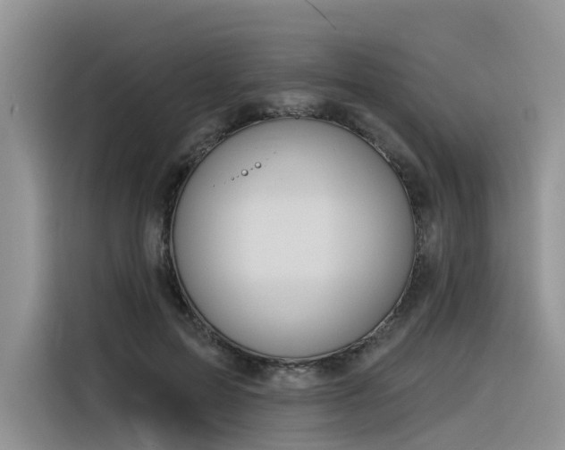 X0000116380599200912021521