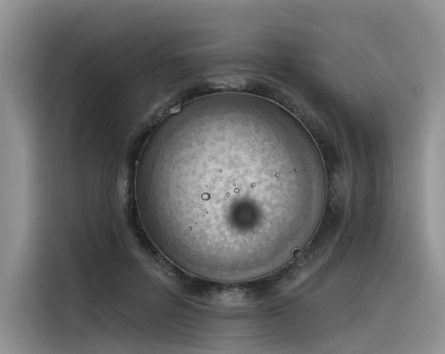 X0000116380600200912021521