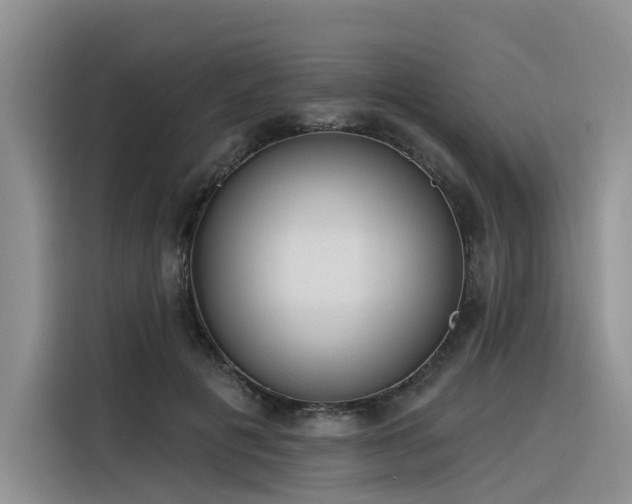 X0000116380601200912021521