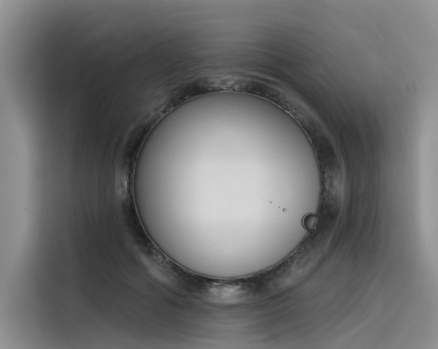 X0000116380602200912021521