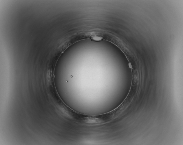 X0000116380605200912021521