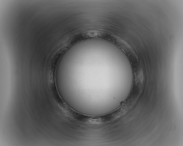 X0000116380606200912021521