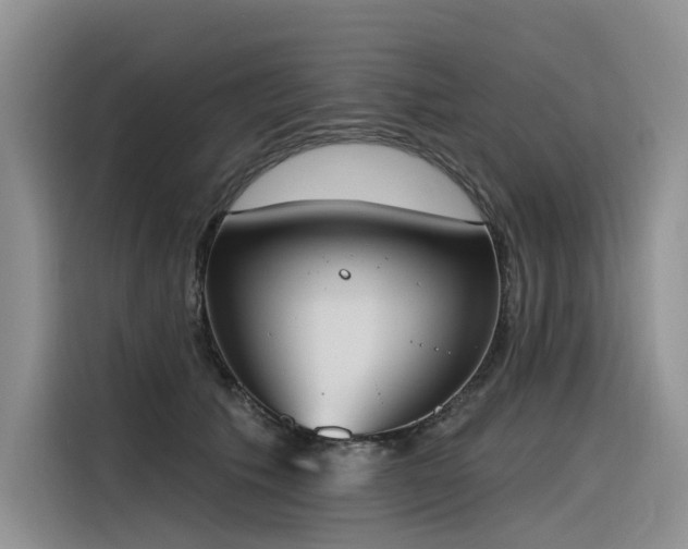 X0000116380609200912021521
