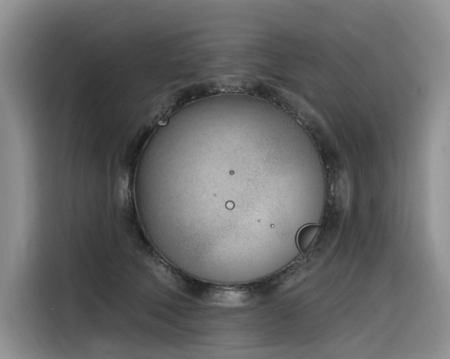 X0000116380610200912021521