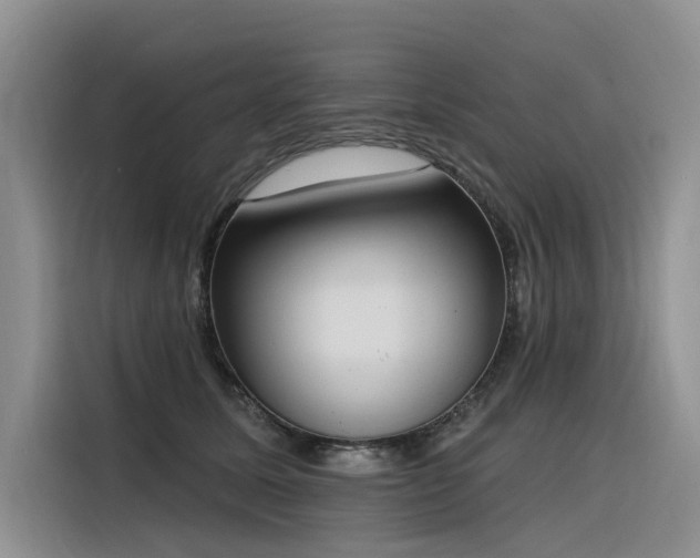 X0000116380611200912021521