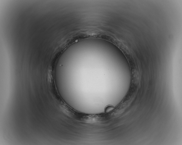 X0000116380612200912021521
