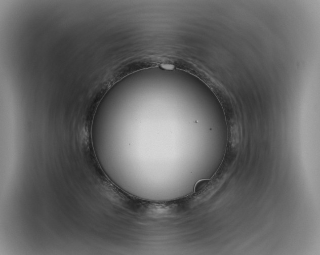X0000116380613200912021521