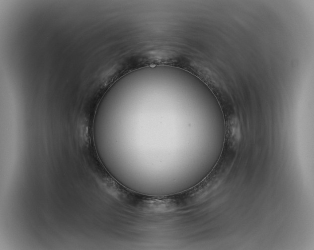 X0000116380615200912021521