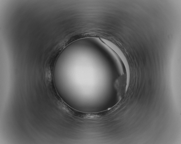 X0000116380617200912021521