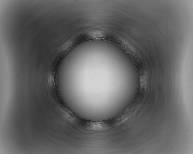 X0000116380618200912021521