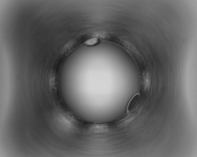 X0000116380619200912021521