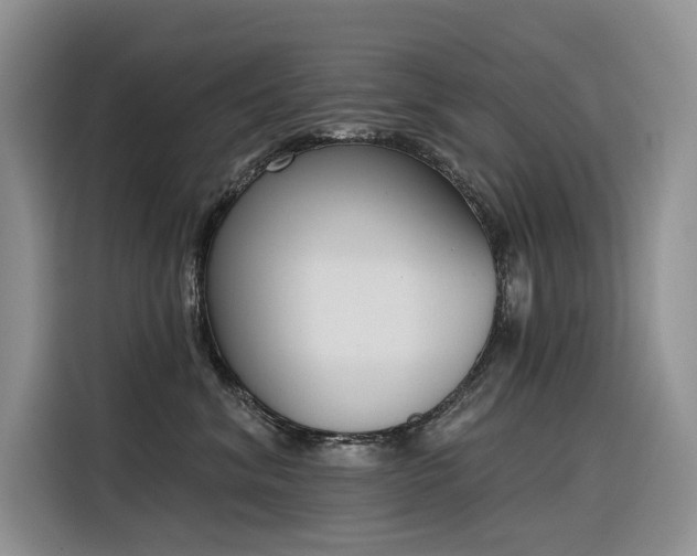 X0000116380620200912021521