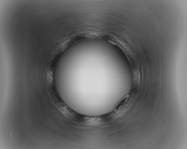 X0000116380621200912021521