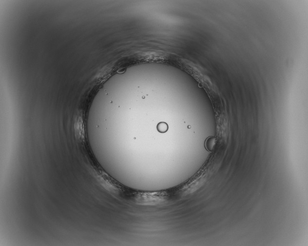 X0000116380622200912021521
