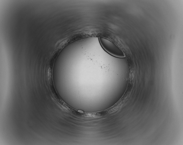 X0000116380623200912021521
