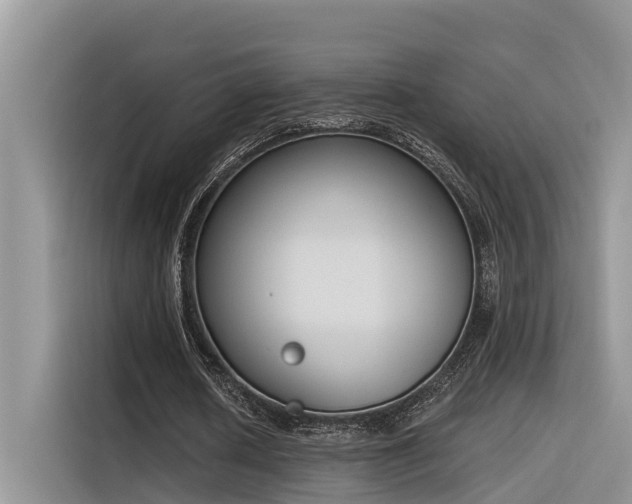 X0000116380626200912021520