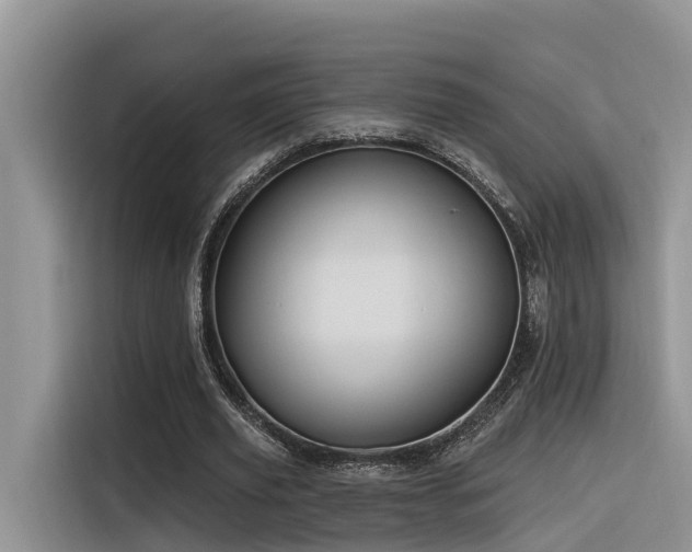 X0000116380629200912021520