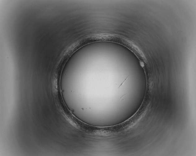 X0000116380633200912021520