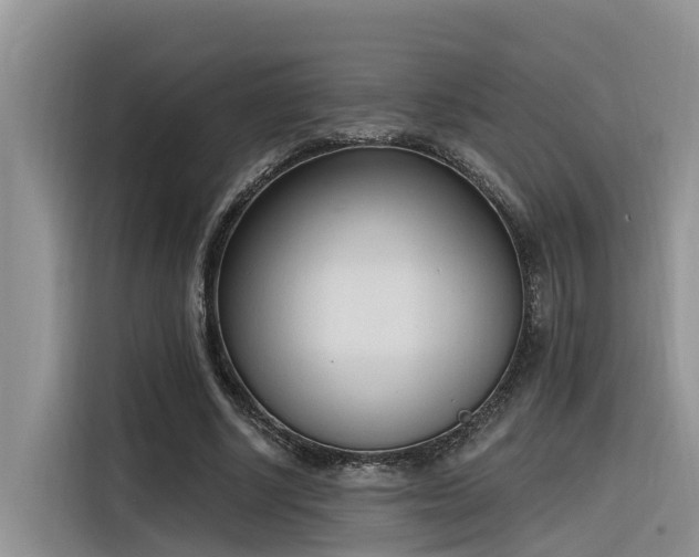 X0000116380634200912021520