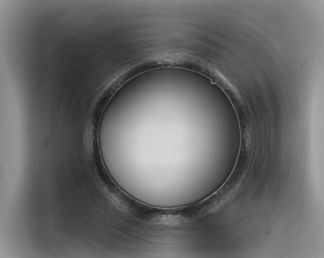 X0000116380637200912021520