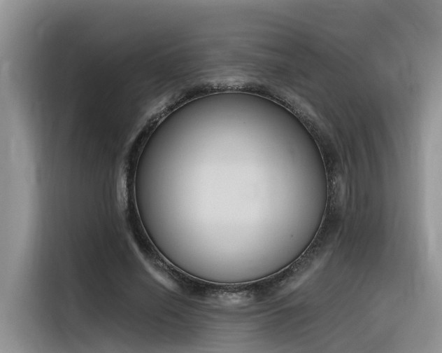 X0000116380638200912021520