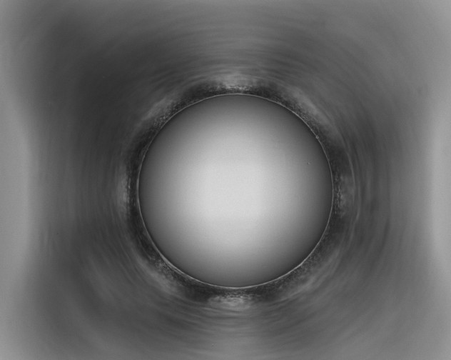 X0000116380639200912021520