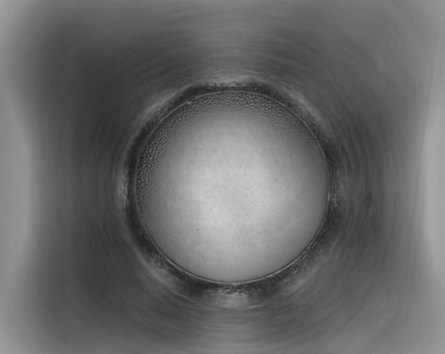 X0000116380640200912021520