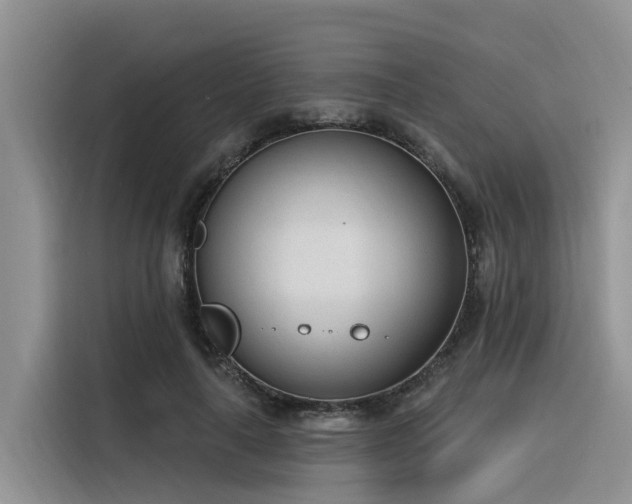 X0000116380643200912021520
