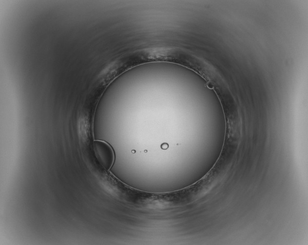 X0000116380648200912021520