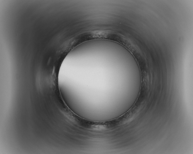 X0000116380649200912021520