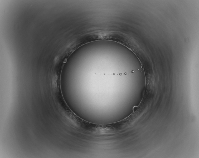 X0000116380650200912021520
