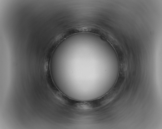 X0000116380652200912021520