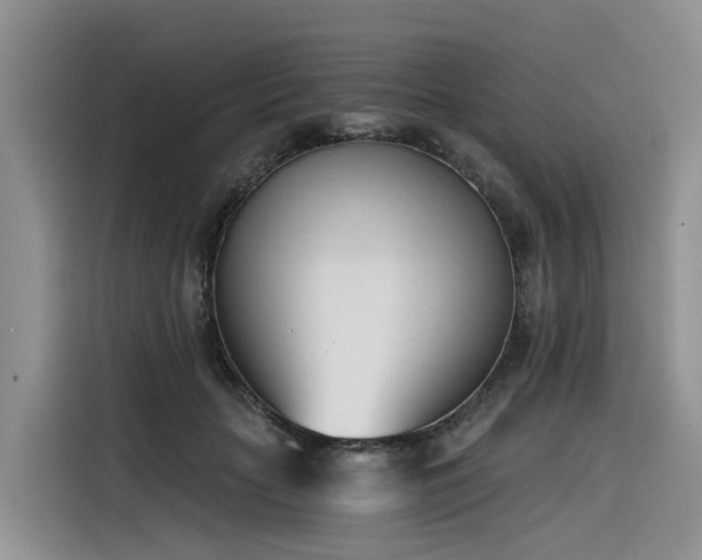 X0000116380653200912021520
