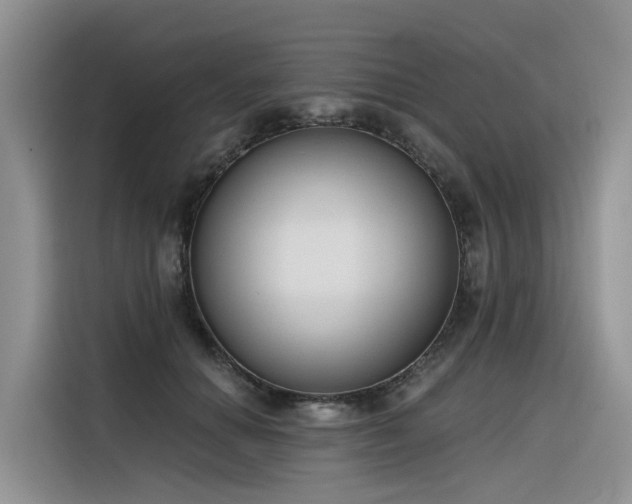 X0000116380654200912021520