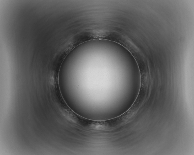 X0000116380655200912021520