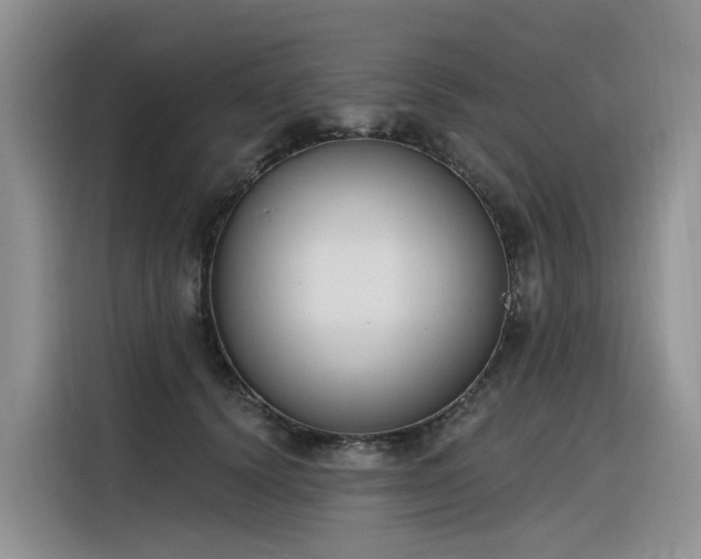 X0000116380656200912021520