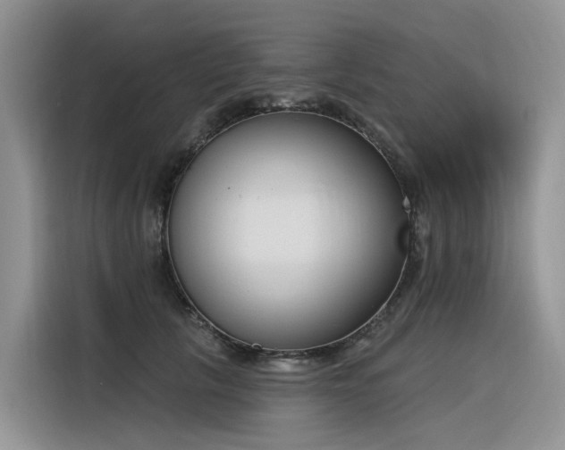 X0000116380657200912021520