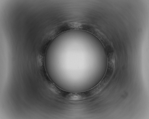 X0000116380658200912021520