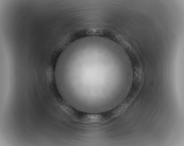X0000116380659200912021520