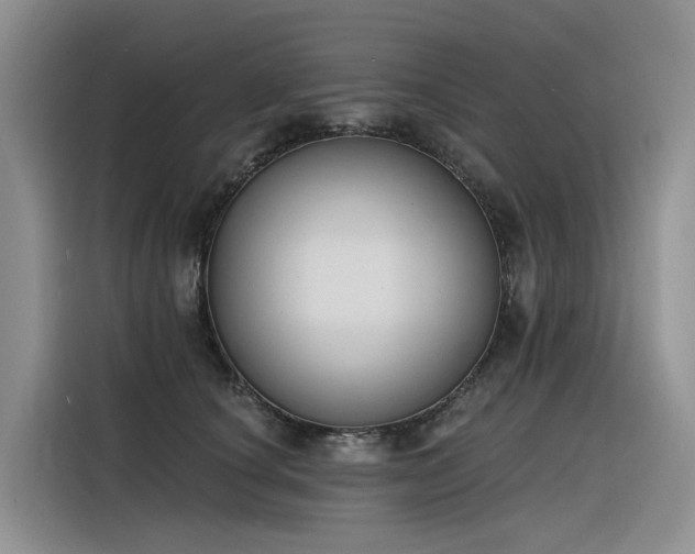 X0000116380660200912021521