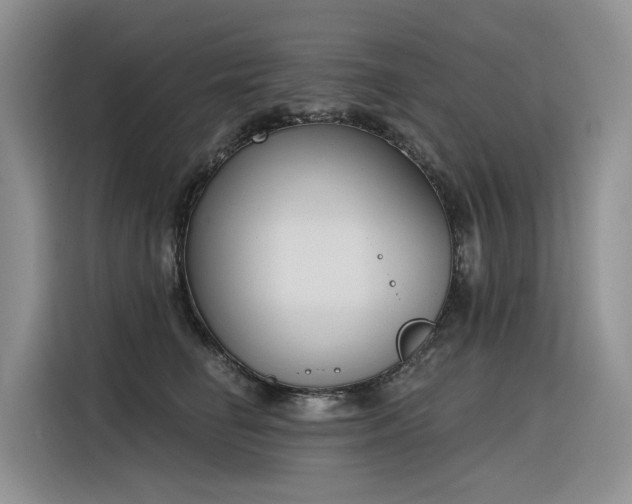 X0000116380662200912021521