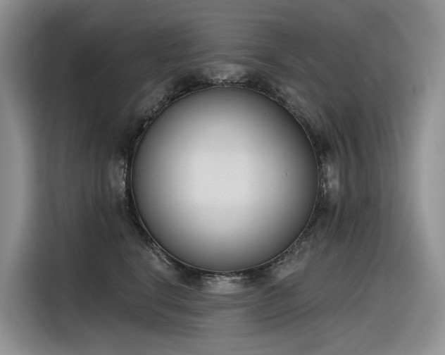 X0000116380664200912021521