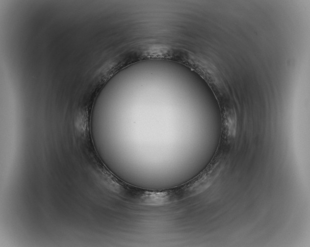 X0000116380665200912021521