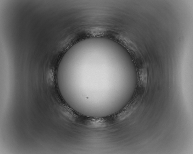 X0000116380667200912021521