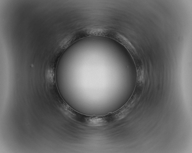 X0000116380669200912021521