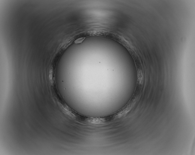 X0000116380670200912021521